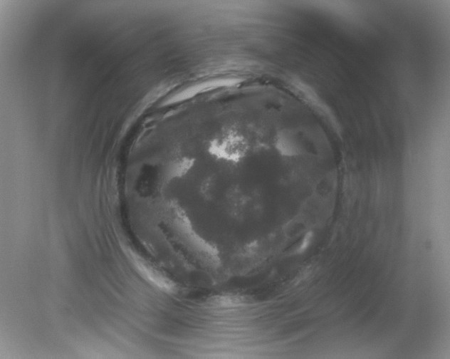 X0000081610250200701291434