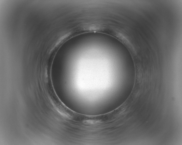 X0000081610251200701291434