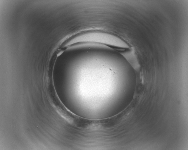 X0000081610252200701291434