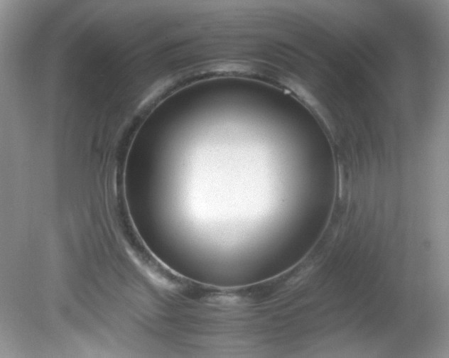 X0000081610253200701291434