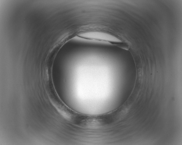 X0000081610254200701291434