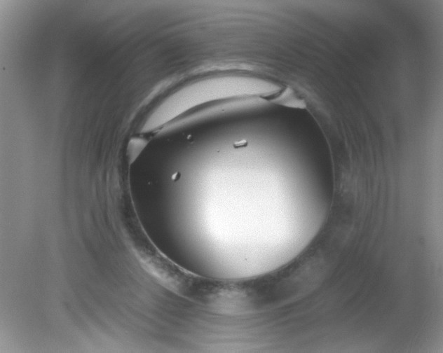 X0000081610256200701291434