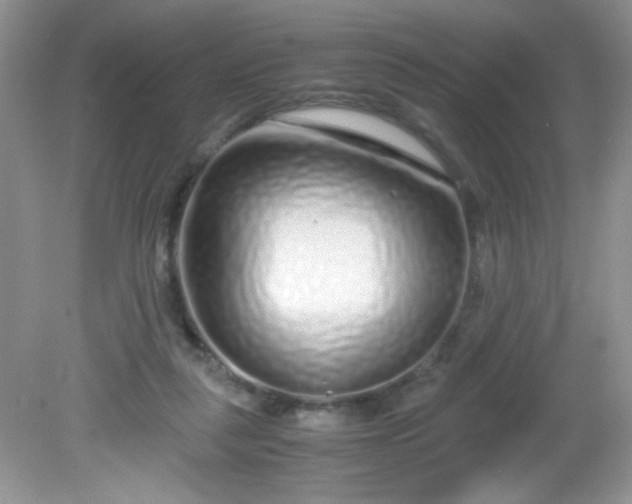 X0000081610259200701291434