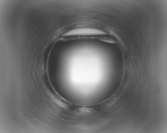 X0000081610261200701291434