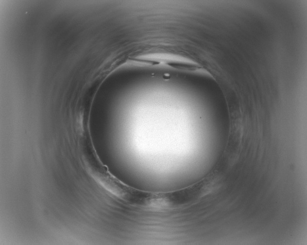 X0000081610262200701291435