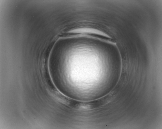 X0000081610263200701291435