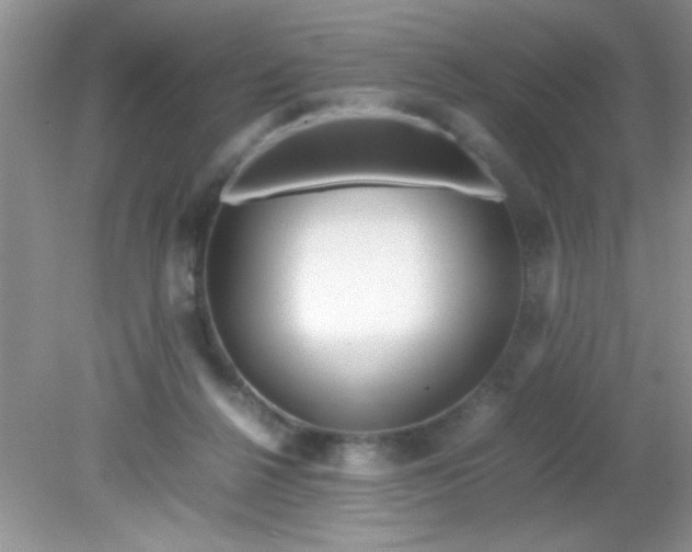 X0000081610264200701291435