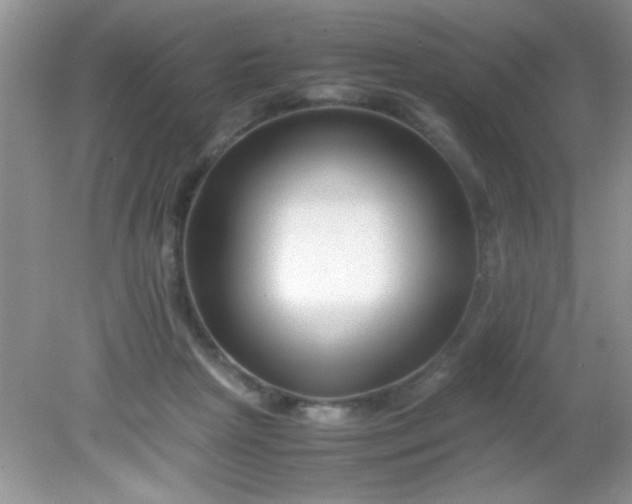 X0000081610265200701291435