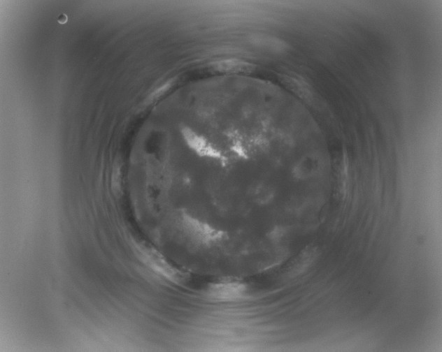 X0000081610266200701291435