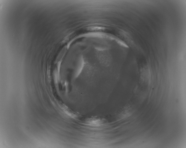 X0000081610267200701291435