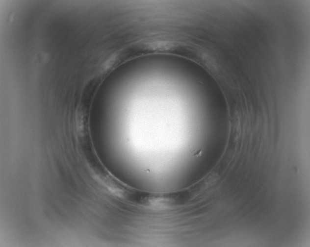 X0000081610268200701291435