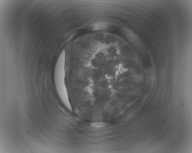 X0000081610269200701291435