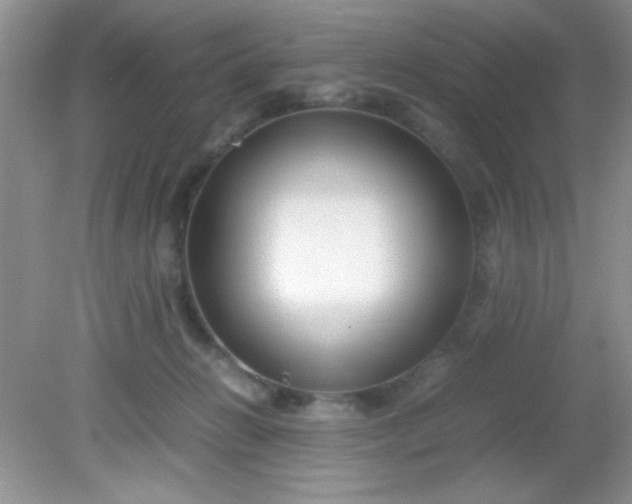 X0000081610270200701291435