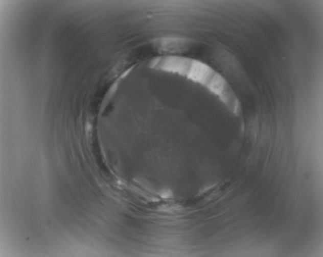 X0000081610271200701291435