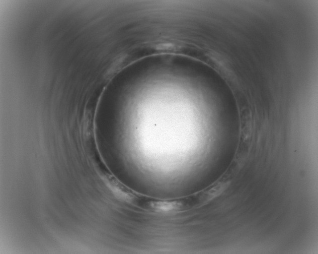 X0000081610273200701291435