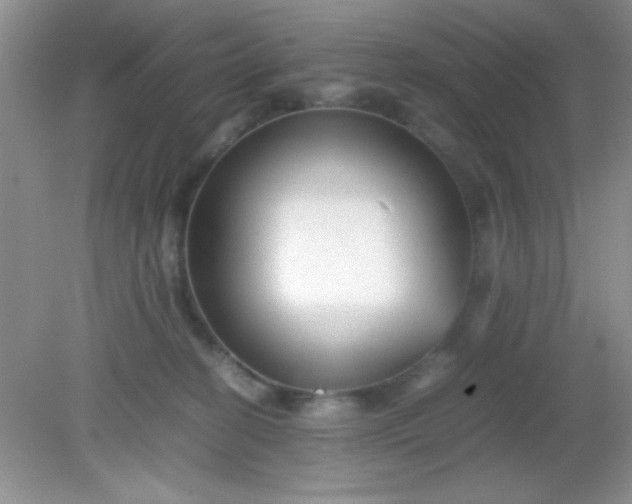 X0000081610274200701291435