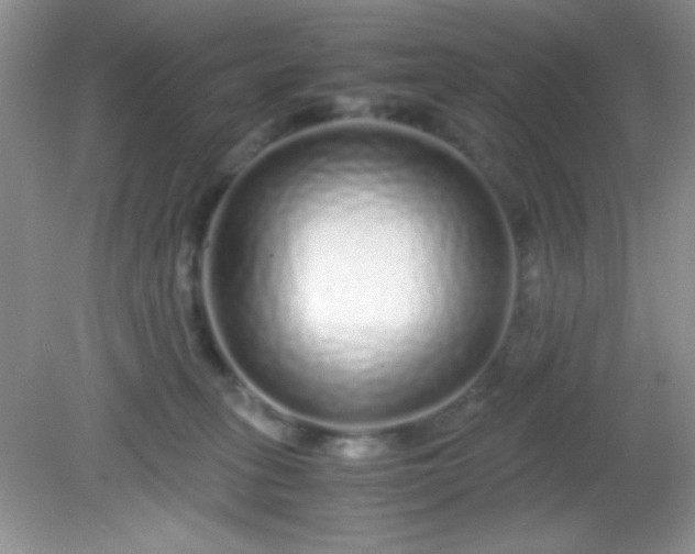 X0000081610275200701291435