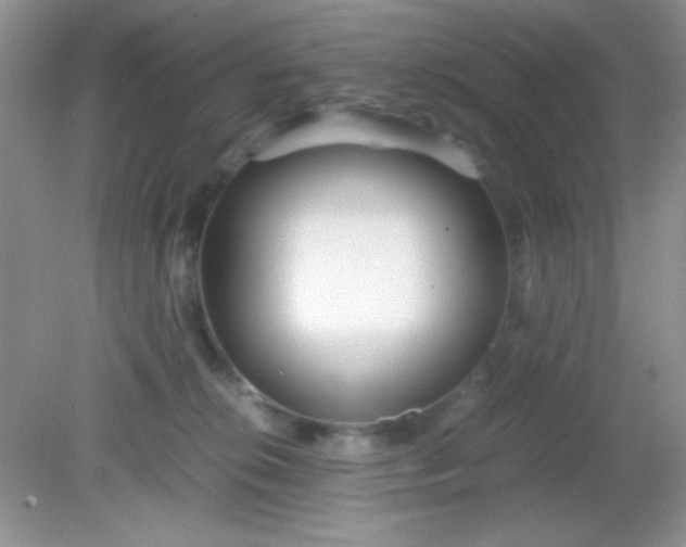 X0000081610276200701291435