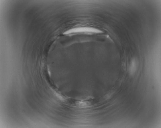 X0000081610277200701291435