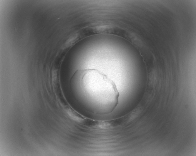 X0000081610278200701291435