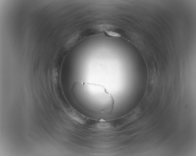 X0000081610279200701291435