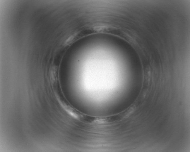 X0000081610280200701291435