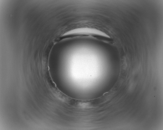 X0000081610283200701291435