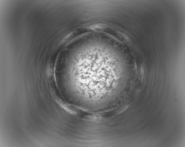 X0000081610284200701291435