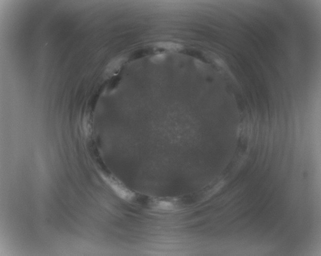 X0000081610285200701291435