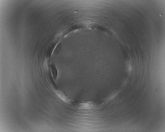 X0000081610286200701291435