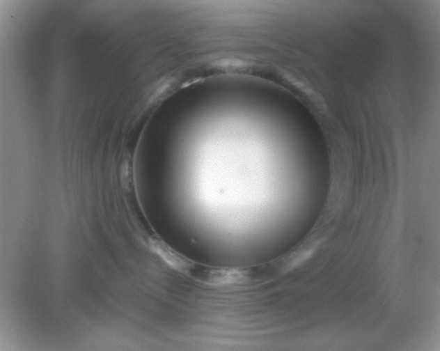 X0000081610288200701291435