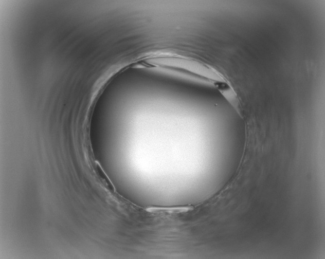 X0000081610289200701291434