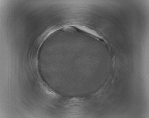 X0000081610290200701291434