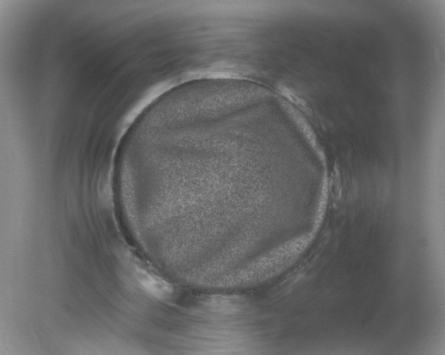 X0000081610292200701291434