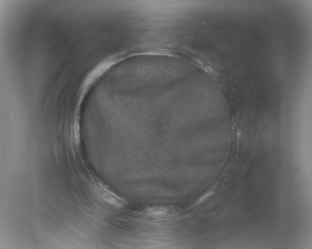 X0000081610294200701291434