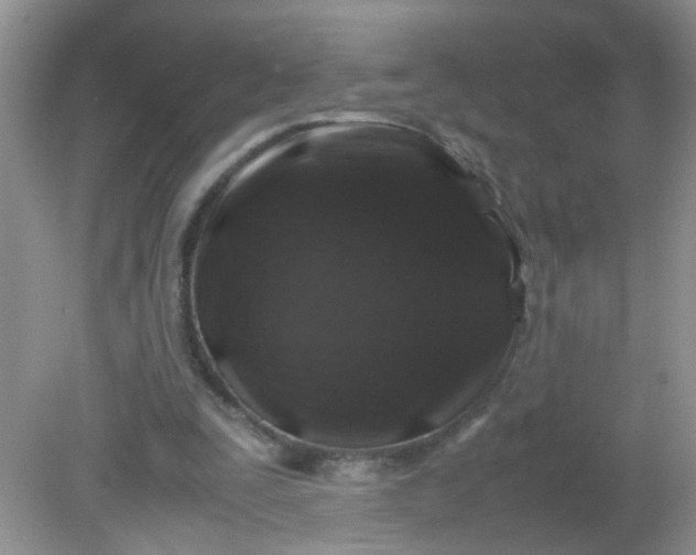 X0000081610295200701291434