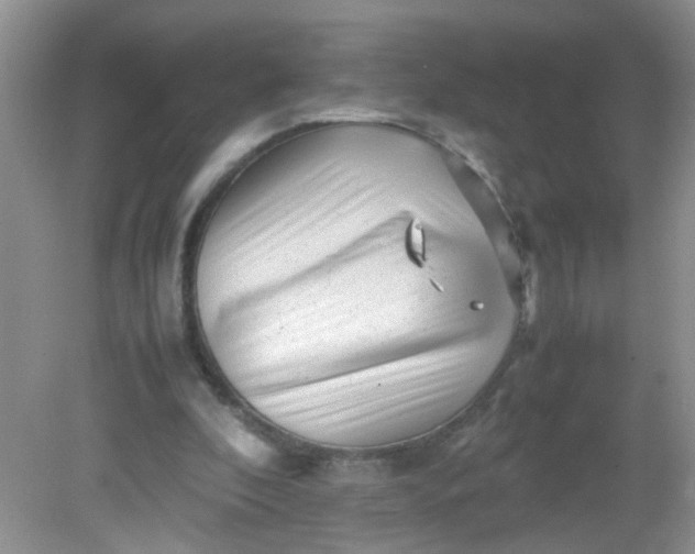 X0000081610296200701291434