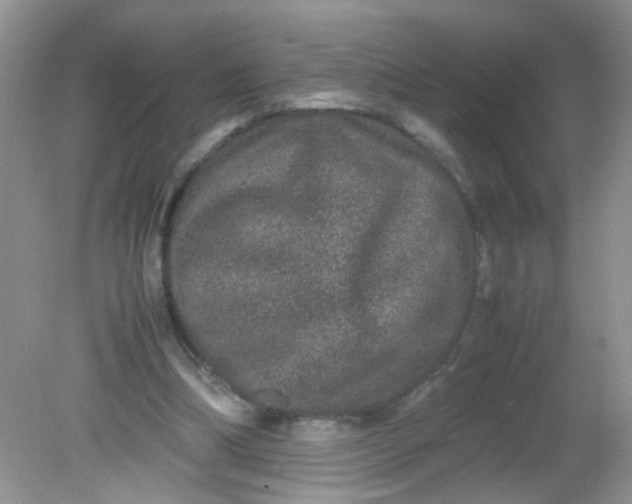 X0000081610298200701291434