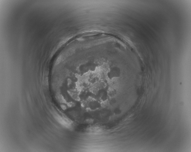 X0000081610299200701291434