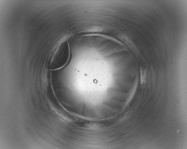 X0000081610300200701291434