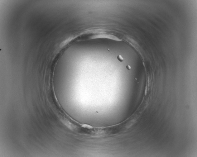 X0000081610301200701291434