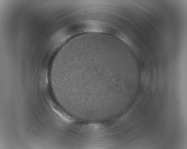 X0000081610302200701291434