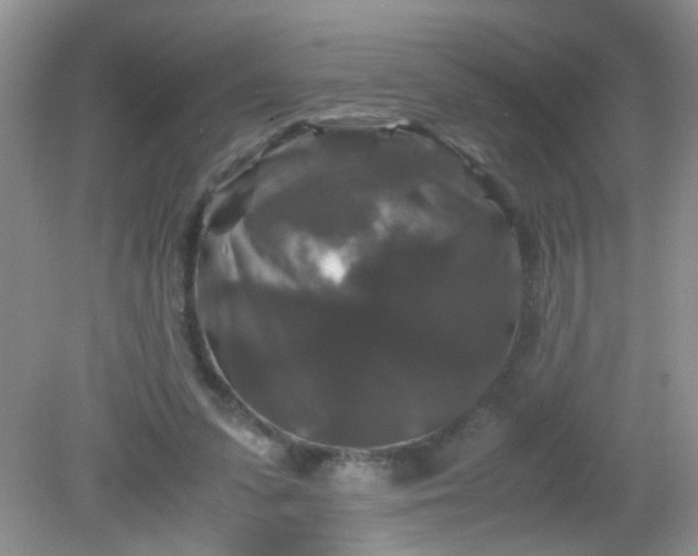 X0000081610303200701291434