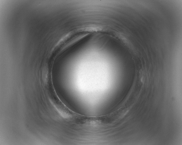 X0000081610304200701291434