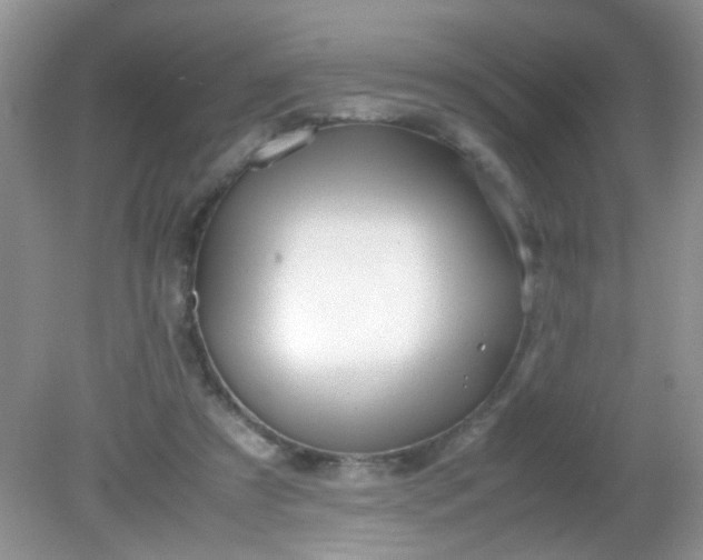 X0000081610305200701291434