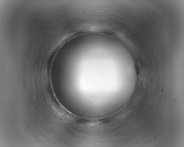 X0000081610306200701291434