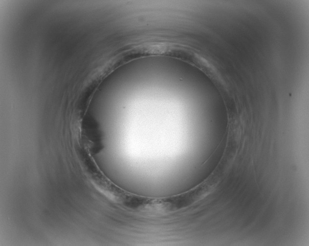 X0000081610307200701291434