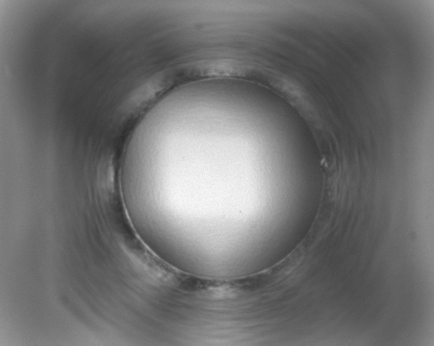 X0000081610310200701291434