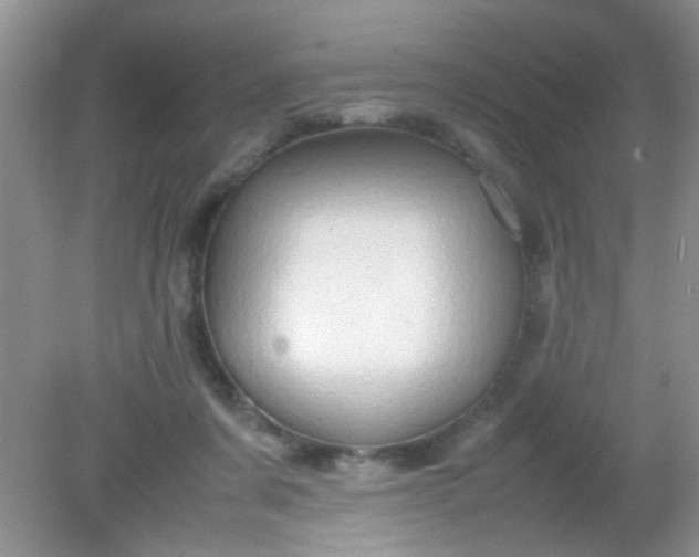 X0000081610311200701291434