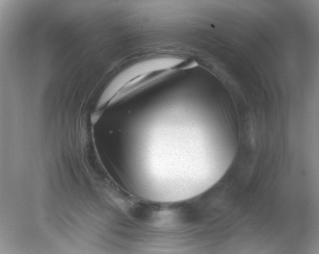 X0000081610312200701291434